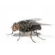Эффективные средства от мух